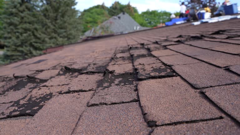 Fast & Reliable Emergency Roof Repairs in Dubuque, IA